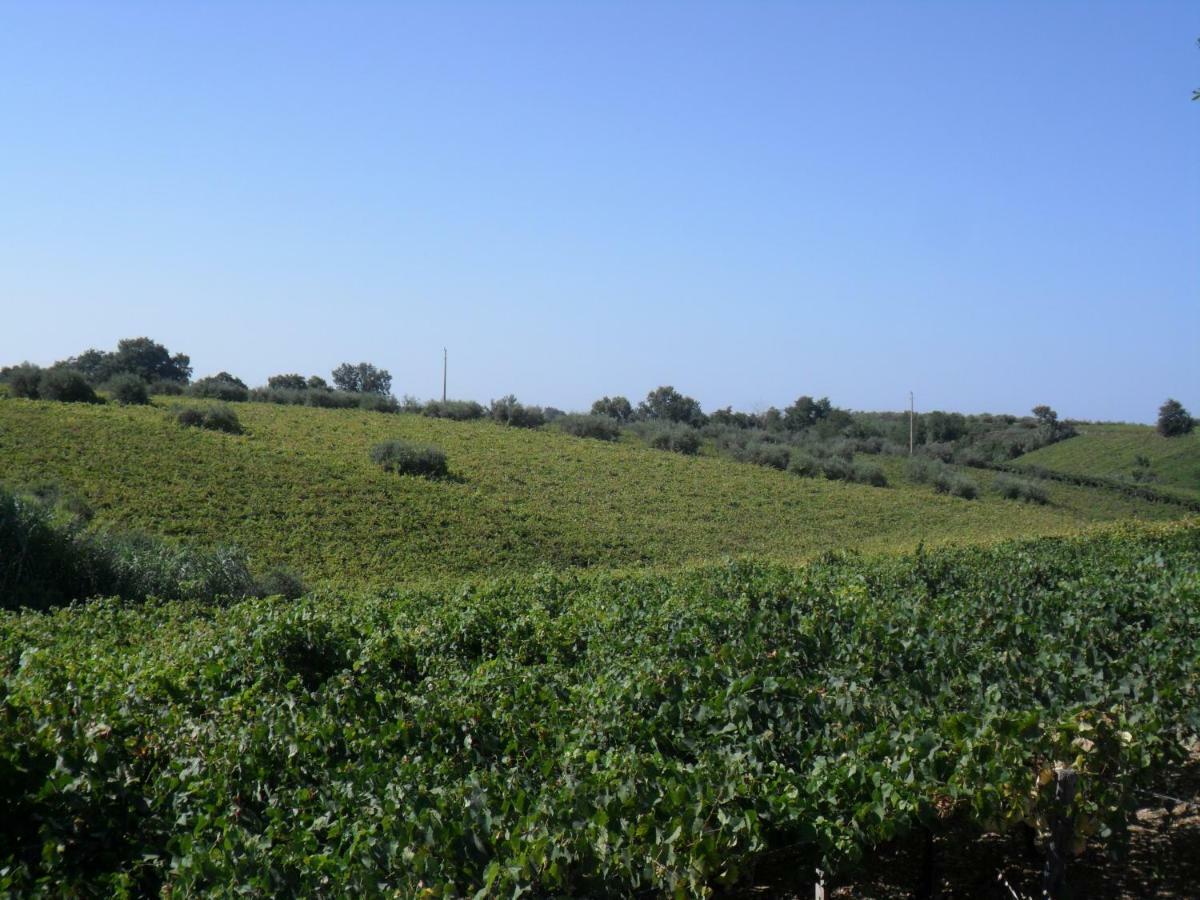 Villa Muchiarelli Crecchio Esterno foto